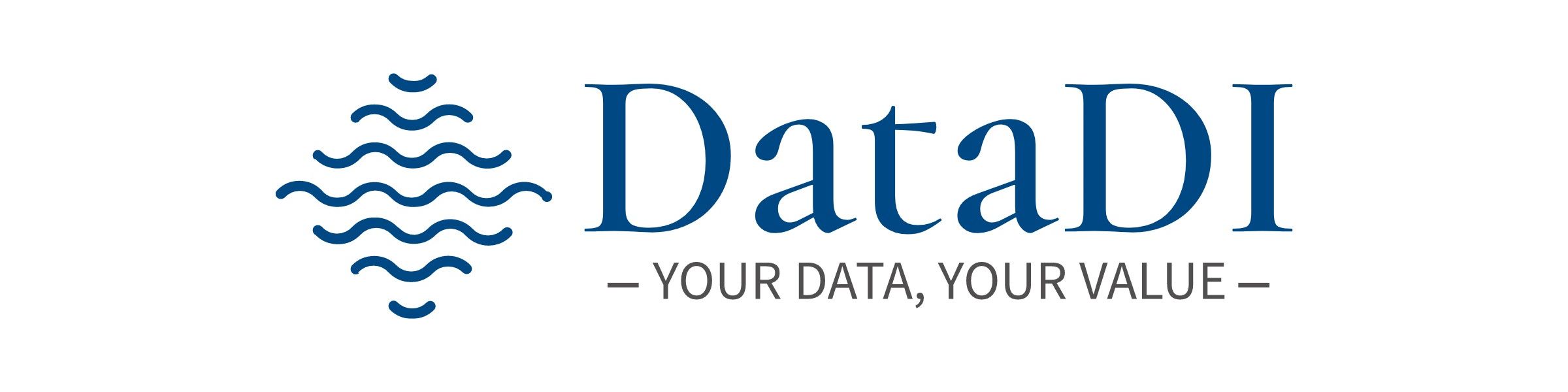 DataDI LLC cover