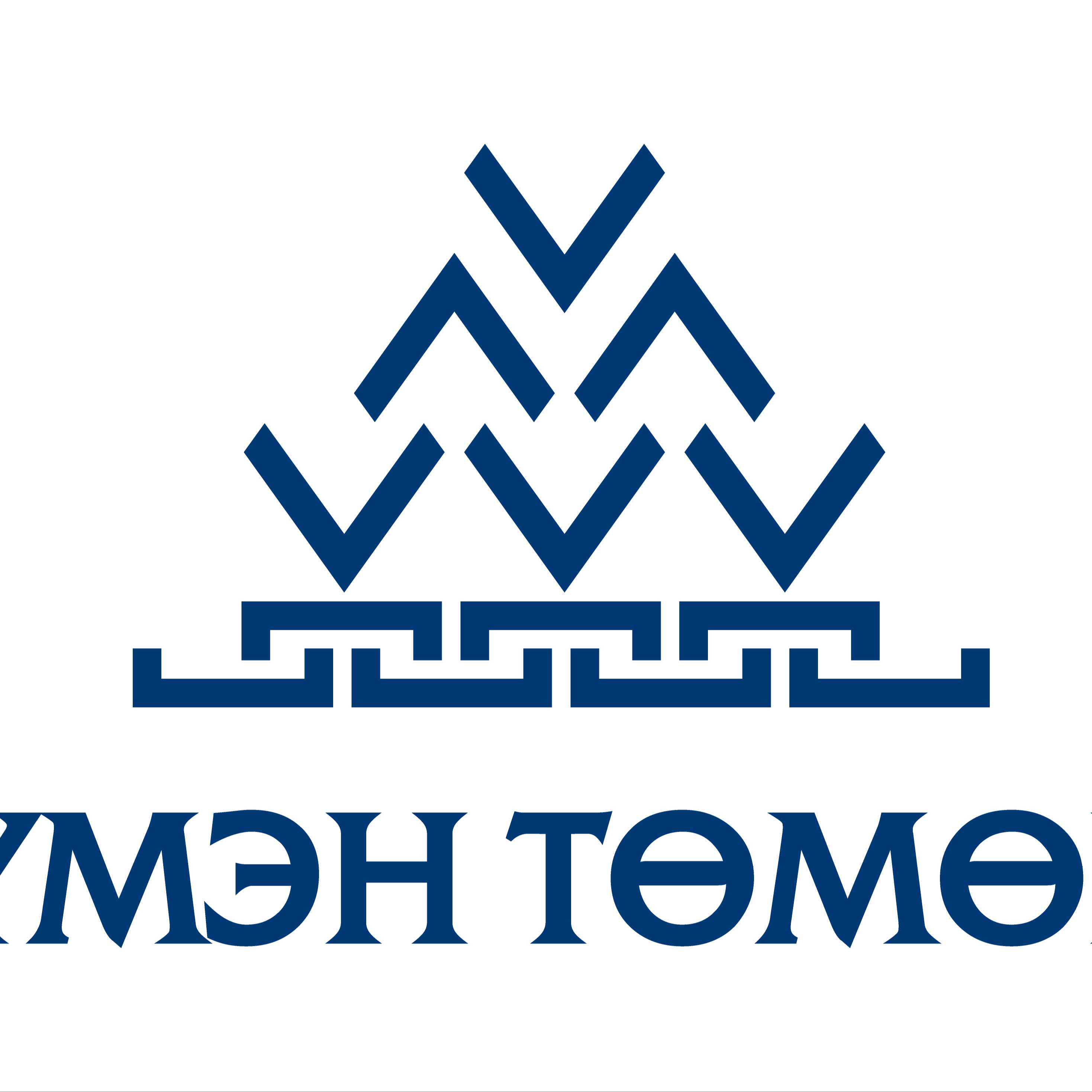 Түмэн Төмөрт ХХК