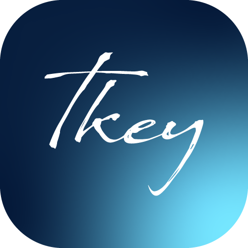 Тридум Э-Секьюрити ХХК