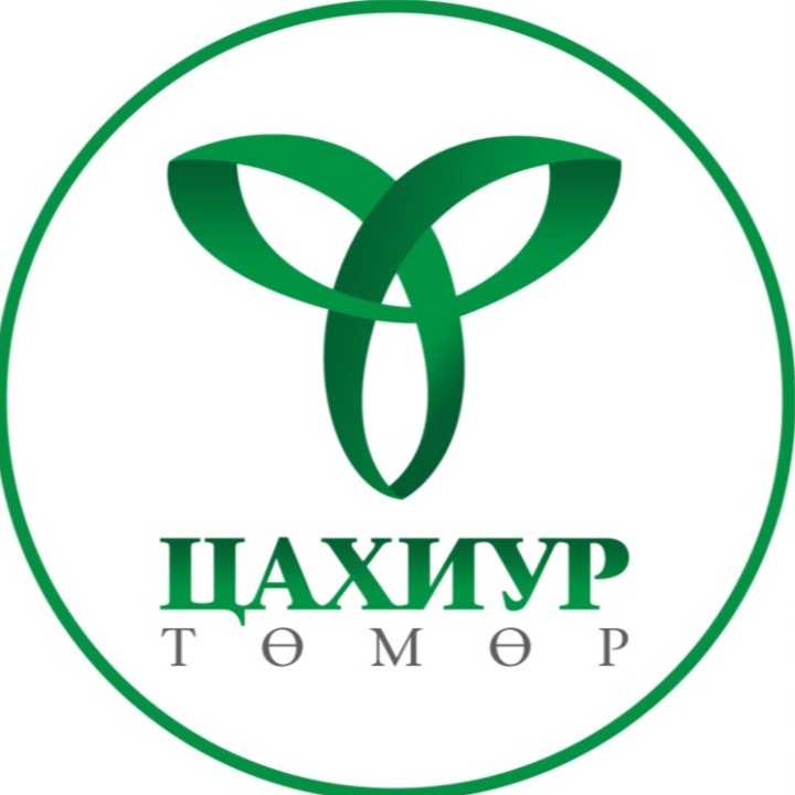 Цахиур төмөр ххк