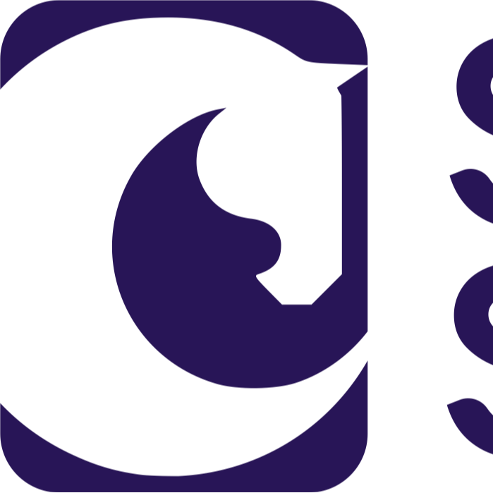 Soyolon solutions llc