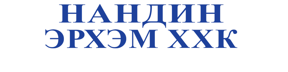 Нандин-Эрхэм ХХК cover