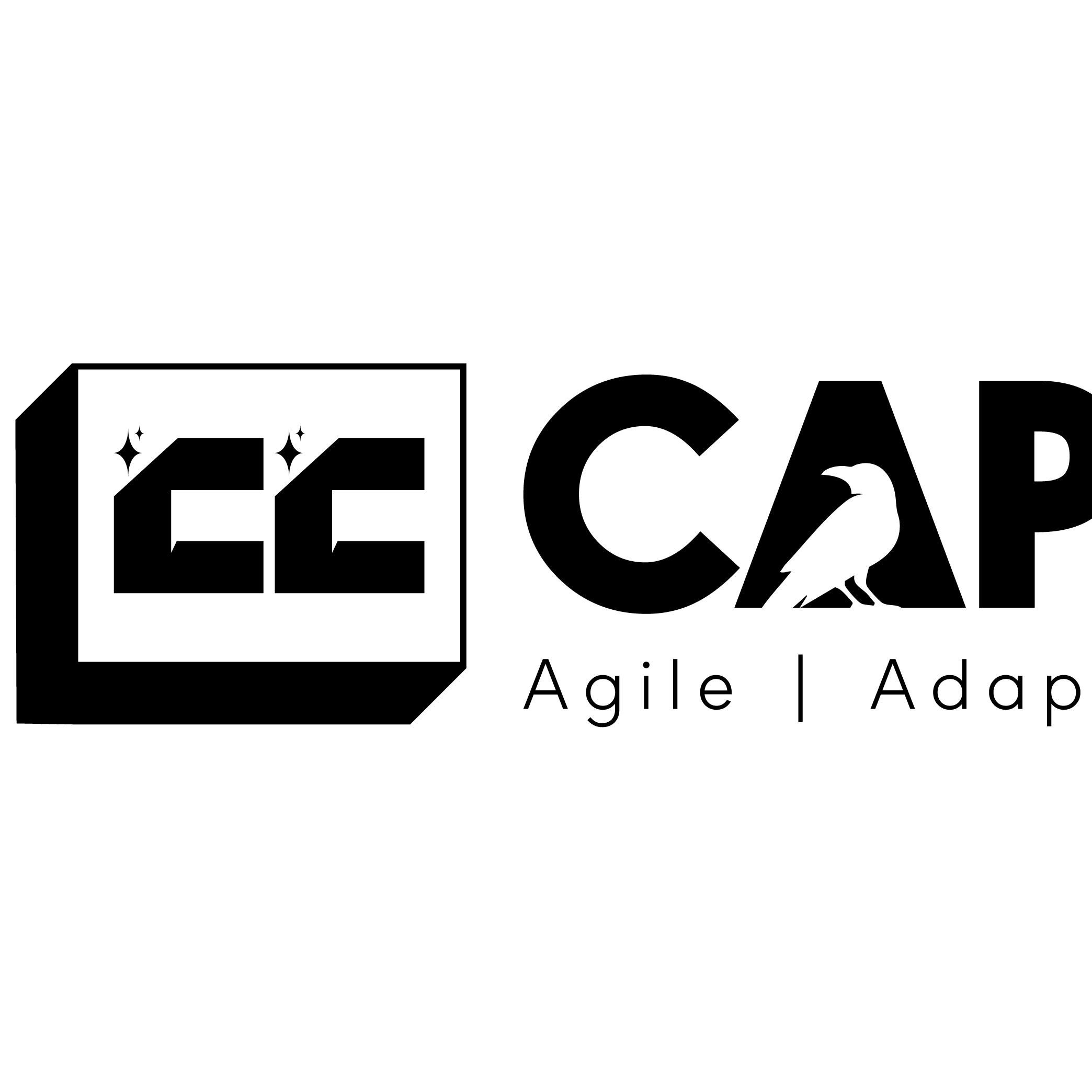 CC CAPITAL LLC
