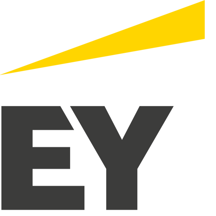 Ernst and Young Mongolia Audit LLC