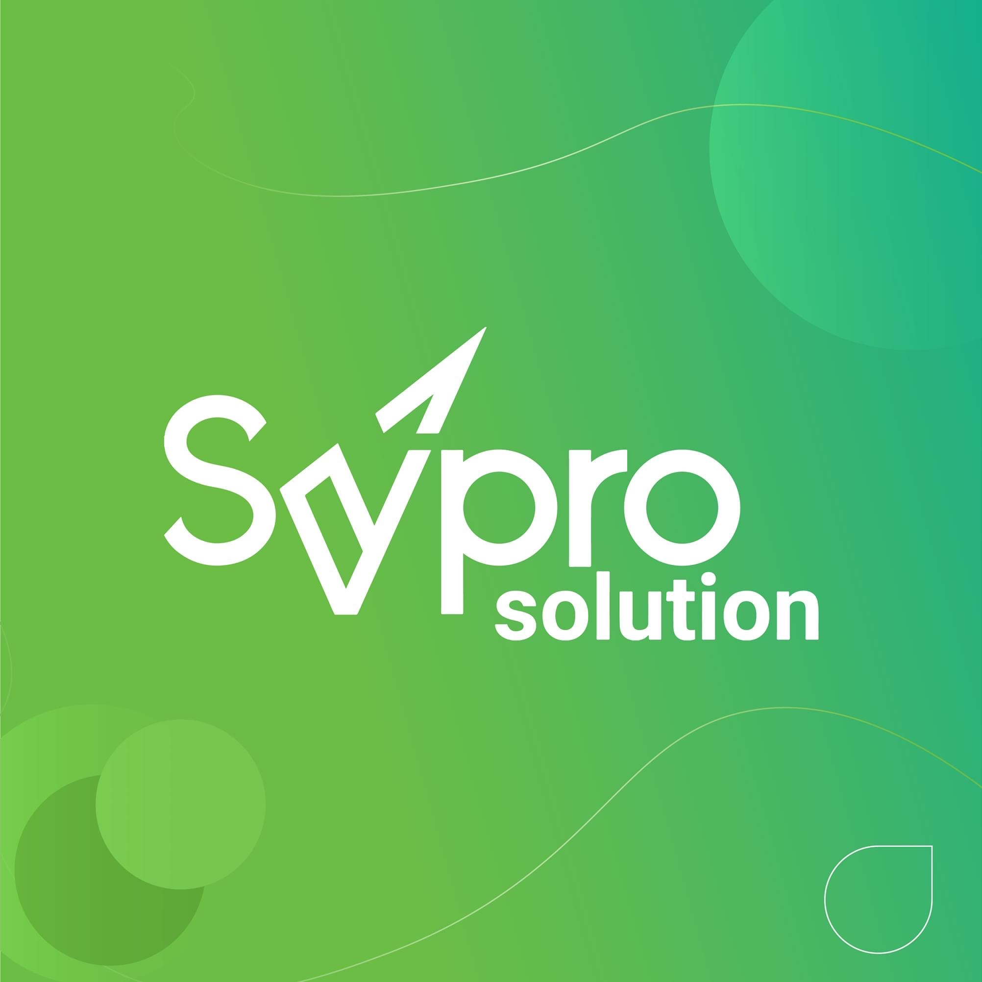 Skypro Solution