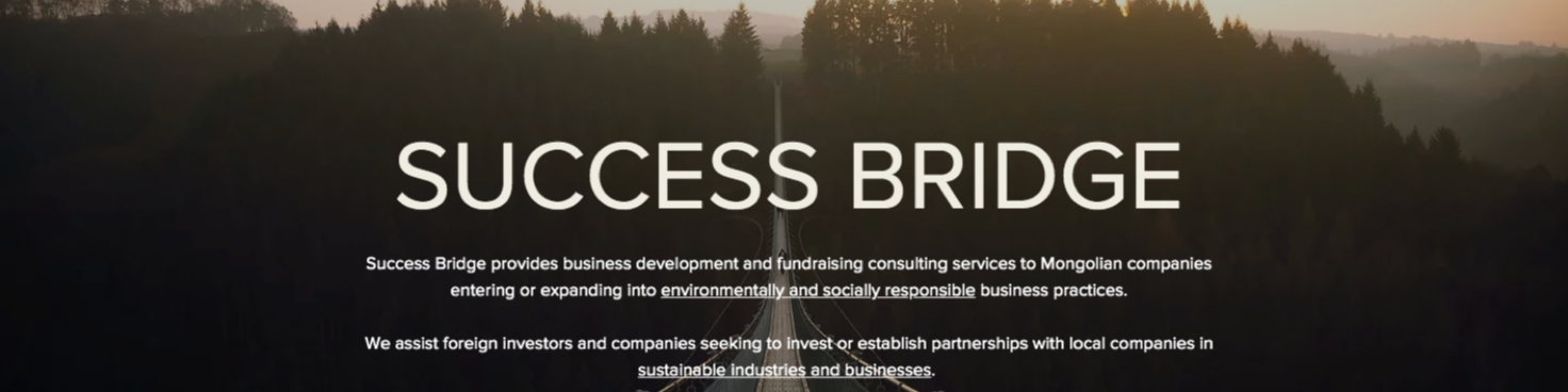 Success Bridge cover