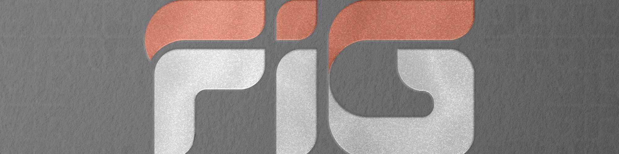 FIG SOLUTION LLC cover