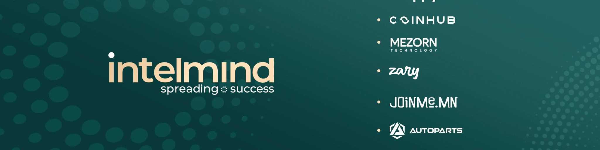 Intelmind LLC cover