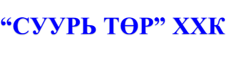 Суурь Төр ХХК cover