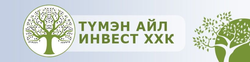 "Түмэн Айл Инвест" ХХК cover