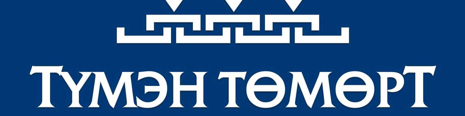 Түмэн Төмөрт ХХК cover