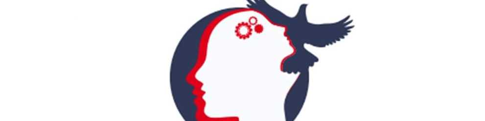 Psychometrics LLC cover