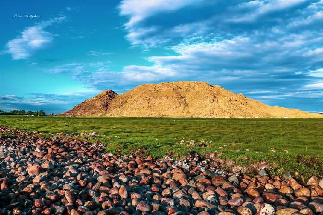 Лимитед менежмент cover
