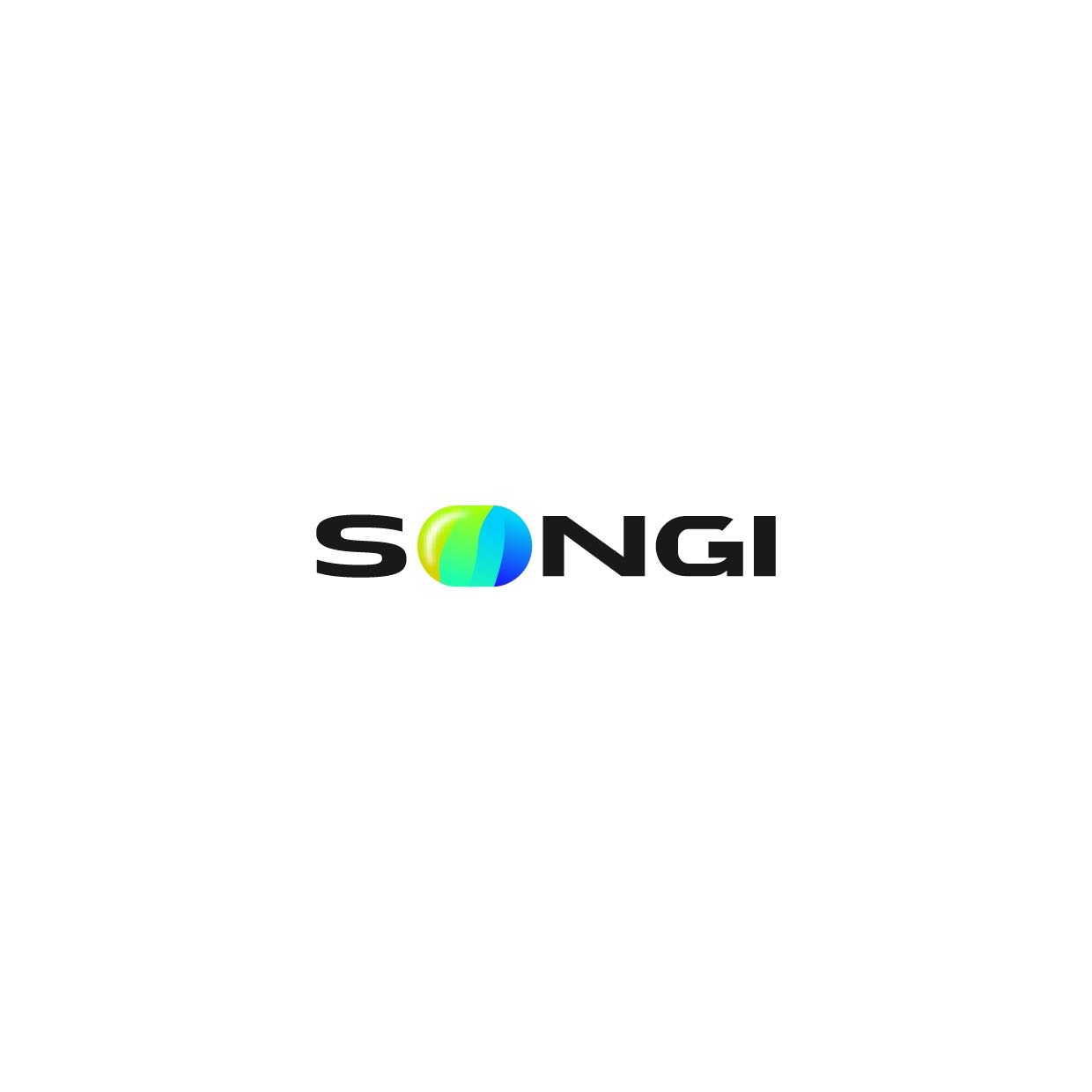 Songi Master Partners LLC
