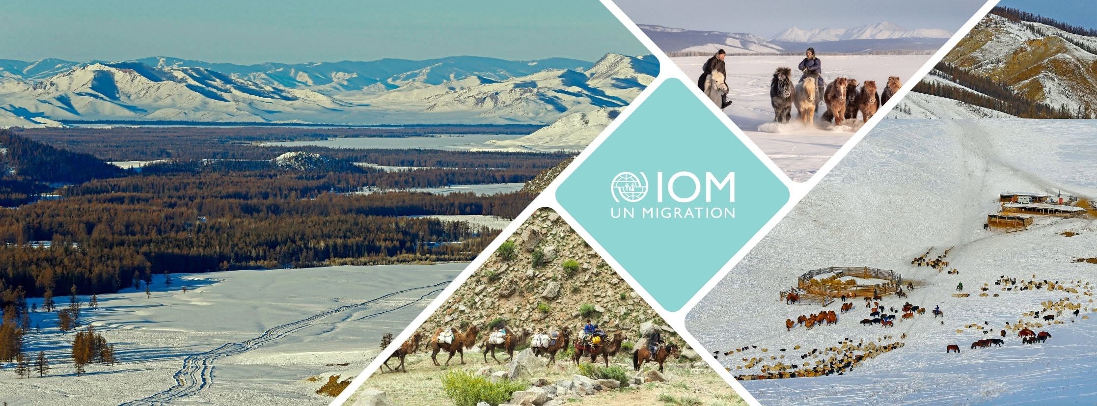 IOM Mongolia cover