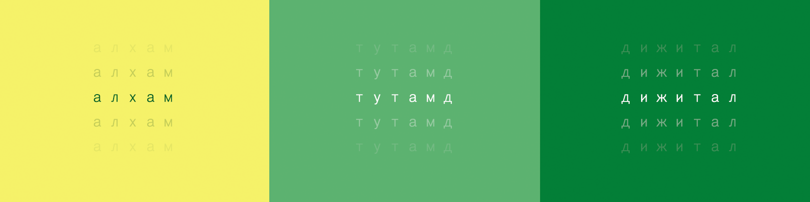 Грийн софт ХХК cover