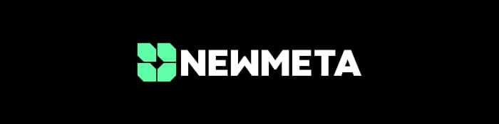 New Meta Partners LLC cover